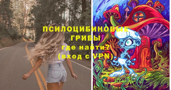 ПСИЛОЦИБИНОВЫЕ ГРИБЫ Бородино