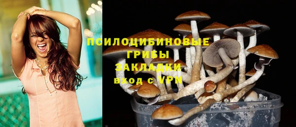 ПСИЛОЦИБИНОВЫЕ ГРИБЫ Бородино