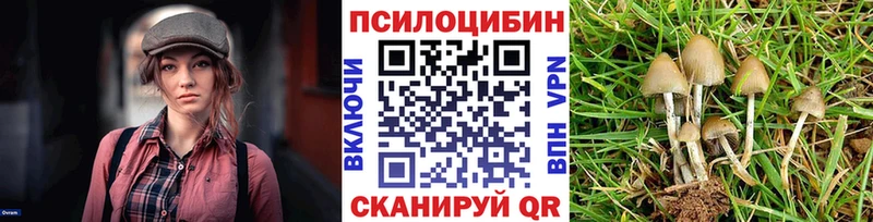 Галлюциногенные грибы MAGIC MUSHROOMS hydra ТОР Весьегонск продажа наркотиков